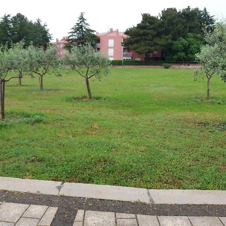 Apartment Nautica Novigrad  Zewnętrze zdjęcie