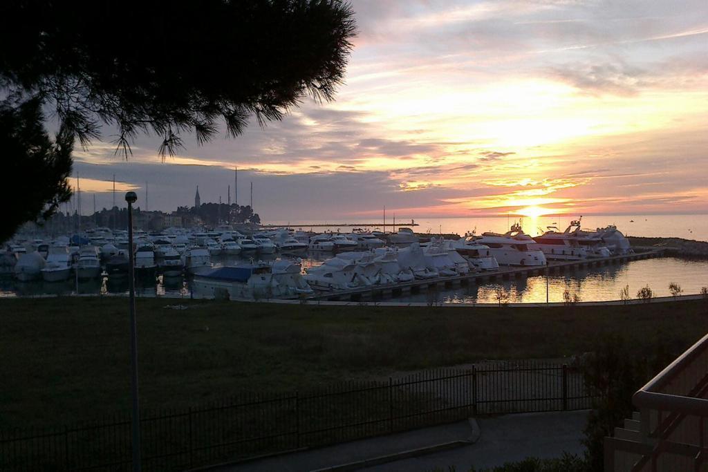 Apartment Nautica Novigrad  Zewnętrze zdjęcie