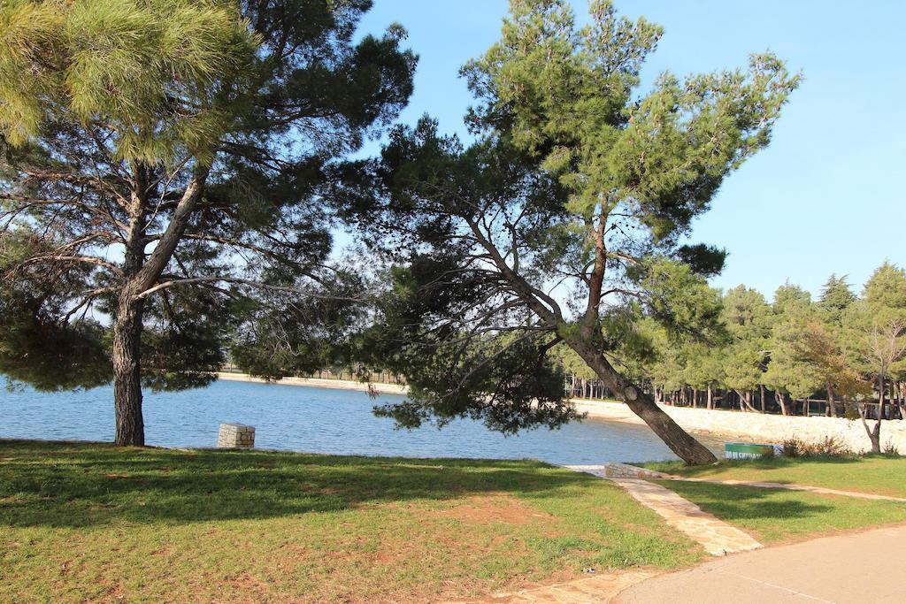 Apartment Nautica Novigrad  Zewnętrze zdjęcie