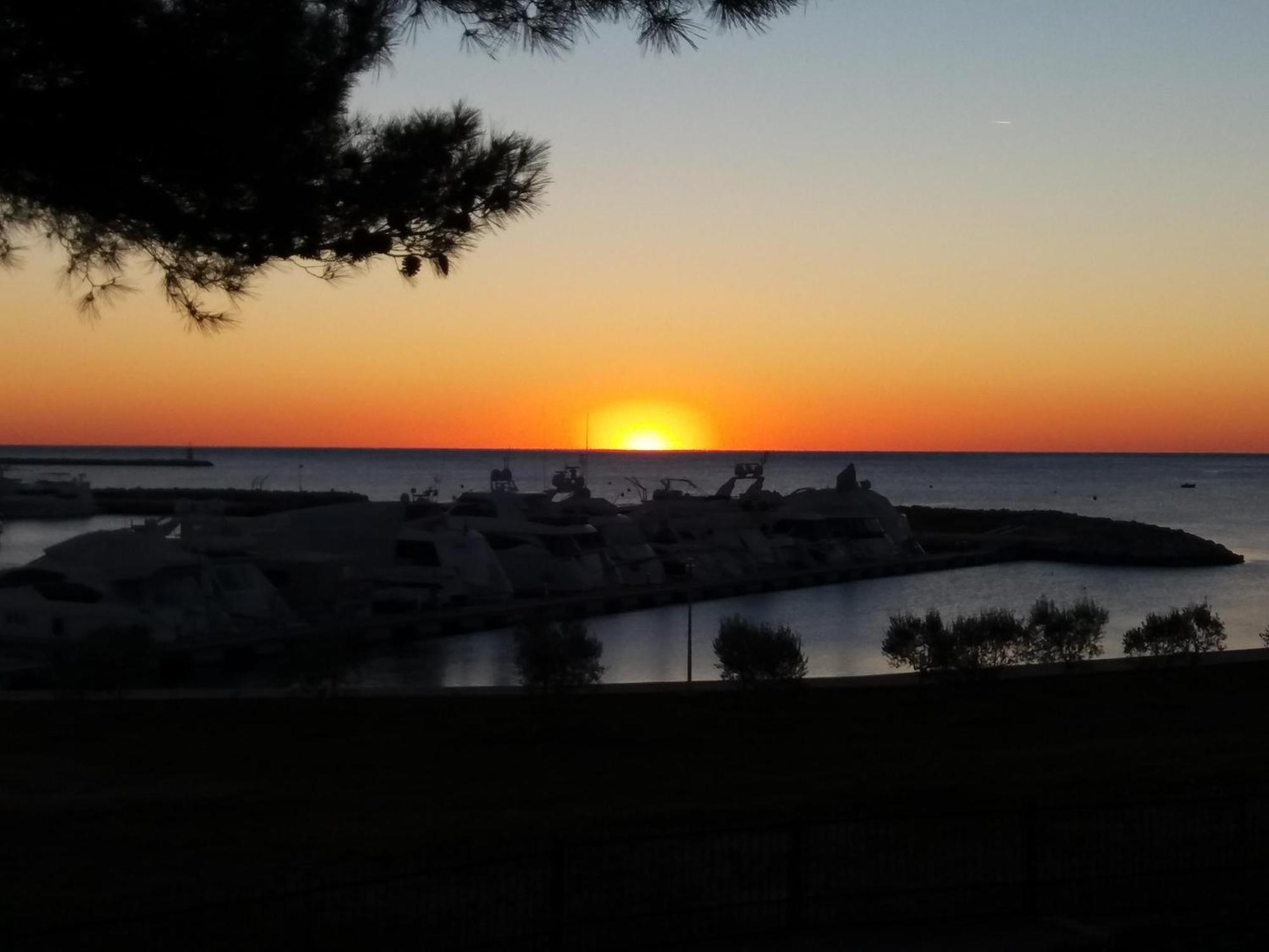 Apartment Nautica Novigrad  Zewnętrze zdjęcie