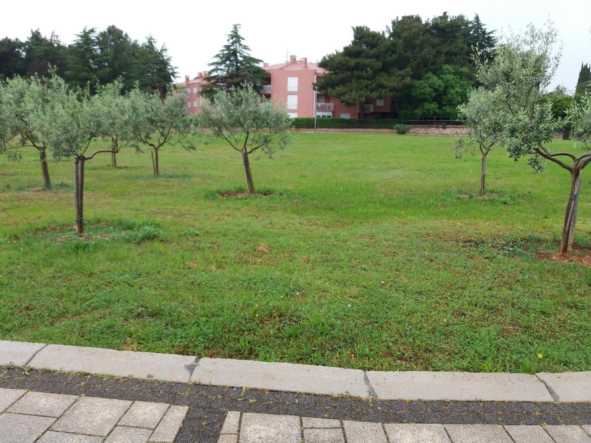 Apartment Nautica Novigrad  Zewnętrze zdjęcie