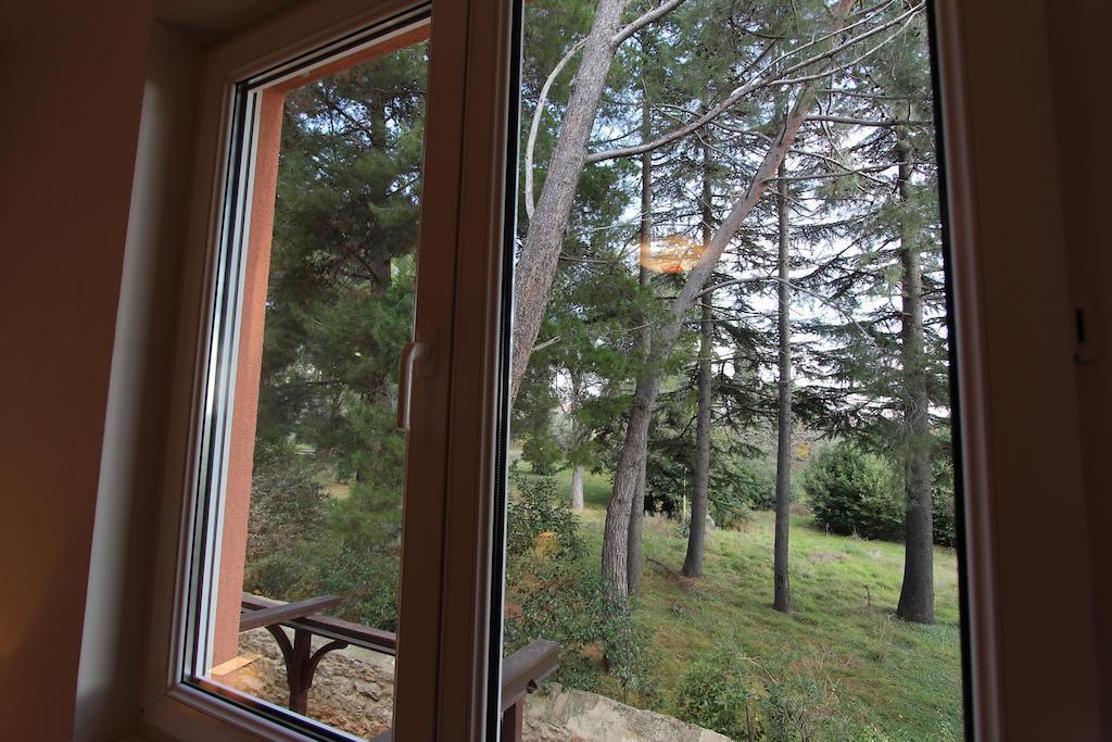 Apartment Nautica Novigrad  Zewnętrze zdjęcie